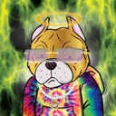 Angry Bully City