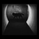 LoneWolf's Pack