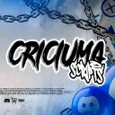 CRICIÚMA SCRIPTS