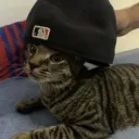 𝐓𝐡𝐞 𝐒𝐚𝐧𝐝𝐛𝐨𝐱