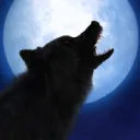 Werewolf 4ever