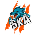 Snkrs killer Account
