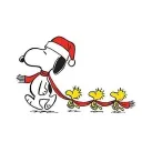 🌸𝐏𝐚𝐫𝐚𝐝𝐢𝐬𝐞 𝐂𝐚𝐟𝐞🌸's icon