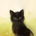 Black Kitten