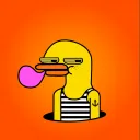 Suspicious Duck