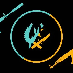 Розыгрыш CS:GO — мониторинг Discord сервера, статистика и рейтинг