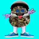 WildPartyDao