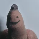 사진교환하고 꼬평 보평 하는 곳