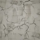 ♕  T İ G E R S  ♕'s icon