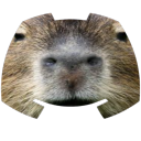 CapyCord Server Icon