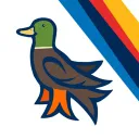 Duck-Watching Club