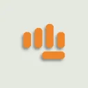 IP Fist