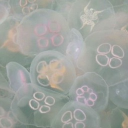 Loserz Club Discord server icon