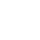 LYNX workshop