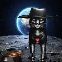NFT SolCats