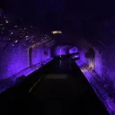 Cheri's Sewer Discord Server Icon