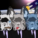 Solana Frenchies 🐶🚀