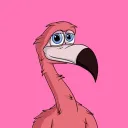 Fancy Flamingos