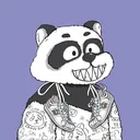 THE CRAZY PANDA GANG