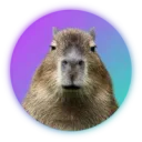 Capybaraworld.com