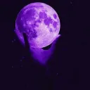 Portal