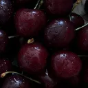 cherry
