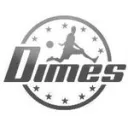 DIMES Custom Cards