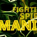 FS Mania