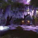 Velaris Forest