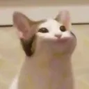 Chu O' Fee