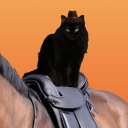 r/blackcats avatar