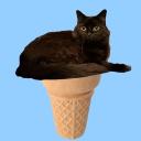 r/blackcats avatar