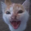 Ultimate shitposting's icon