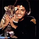 @ mjland ‧₊ ♪˚⊹