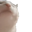 Tesshissa's Cat Café