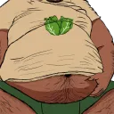 Gainer