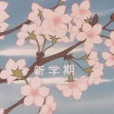 moonday — мониторинг Discord сервера, статистика и рейтинг