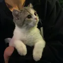 afk Discord Server Icon