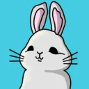 Share Hares NFT