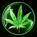 Canna Bizz