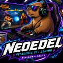 El servidor de neoedel