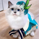 howtomakefriends.com Server Icon