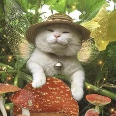 ˚₊୨୧ COMFORT SITY︰₊˚ — мониторинг Discord сервера, статистика и рейтинг