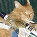 Cat Underground Club discord icon