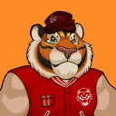 Near Tiger Academy