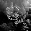 ℝ𝔼𝔹𝕆ℝℕ