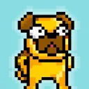DoGo! NFT
