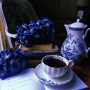 🖋ChapterLost📖 Discord server icon