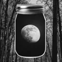 Appalachian Oddity (18+)