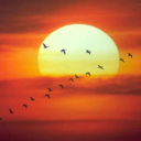 ᕱᕱ・ — Servidor do Sol﹔☀☀